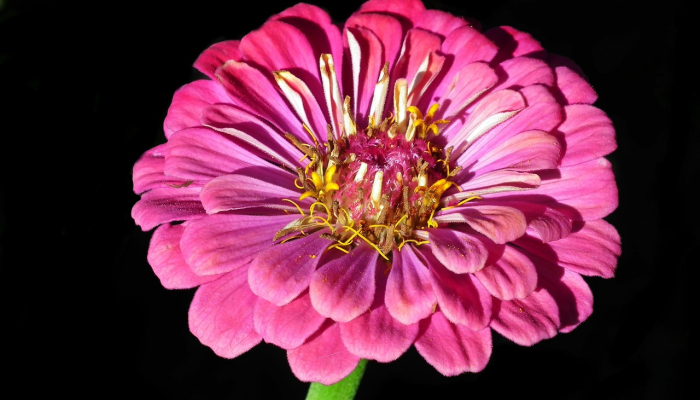 辅助开挂神器“南通长牌开挂神器下载”其实确实有挂