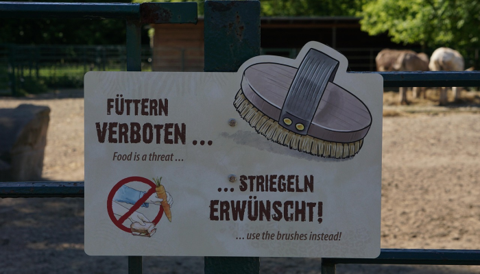 限时分享“胡乐阳泉麻将开挂”开挂详细教程