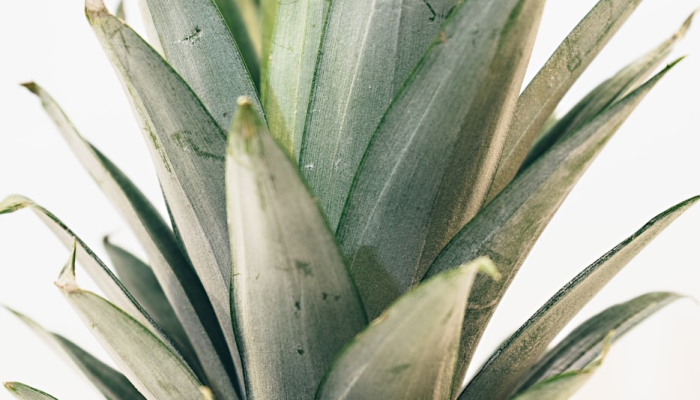 万能开挂辅助“掌酷十三张开挂技术辅助”详细分享装挂步骤