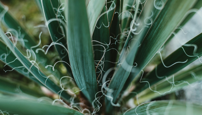 实测教程”众乐贵州麻将开挂方法”分享用挂教程