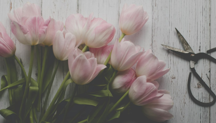 限时分享“立鸿字牌怎么开挂”开挂详细教程