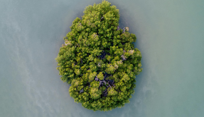 辅助开挂神器“德扑之星有没有挂透视”分享用挂教程