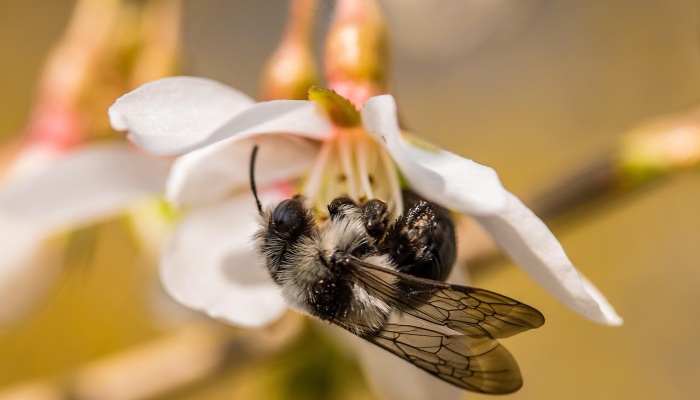开挂辅助工具“云梦司缘游戏辅助透视”其实确实有挂