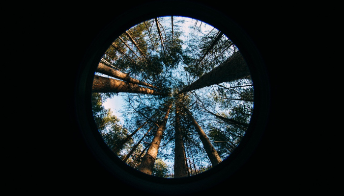 玩家实测“Wepoker德州 一键透视购买”【透视软件教程分享】