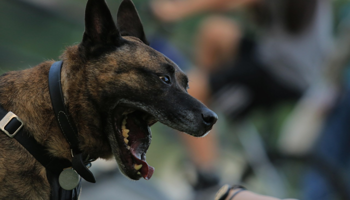 玩家实测“德扑之星透视挂有吗!”分享用挂教程