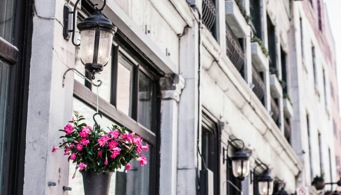 辅助开挂神器“河洛杠次有挂吗的确有挂”开挂详细教程 辅助开挂神器“河洛杠次有挂吗的确有挂”开挂详细教程