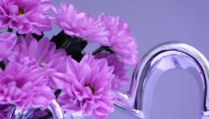 限时分享“开心武汉花有没有挂”其实确实有挂