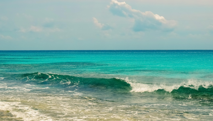 辅助神器“方片十三张辅助器下载”(透视)其实确实有挂