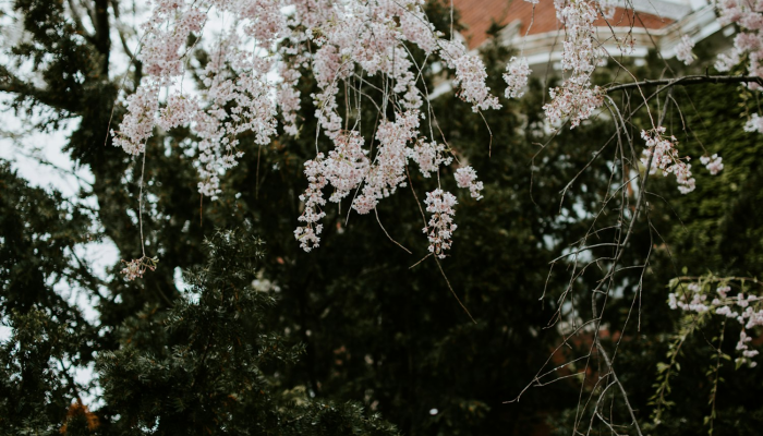 万能开挂辅助“牛元帅可以作弊开挂吗”开挂(透视)辅助教程