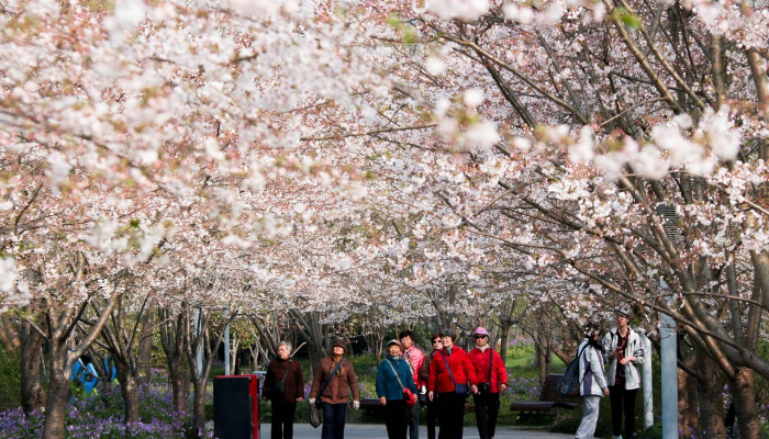 开挂辅助工具“17麻将大菠萝软件挂”其实确实有挂