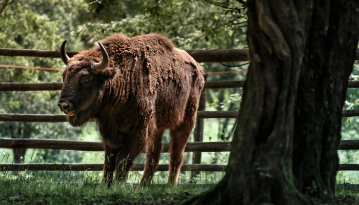玩家实测“来来淮北麻将到底有没有挂”【透视软件教程分享】