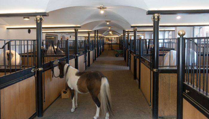 辅助神器“八大碗麻将怎样可以开挂”其实确实有挂