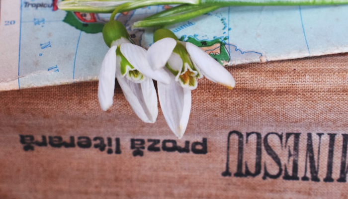 玩家实测“WePoker私人局开挂辅助作弊”分享必要外挂教程