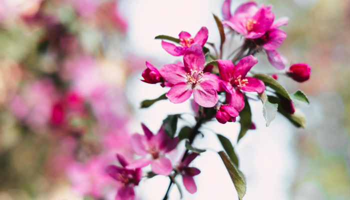 开挂辅助工具“雅苑湖北麻将开挂”其实确实有挂 开挂辅助工具“雅苑湖北麻将开挂”其实确实有挂