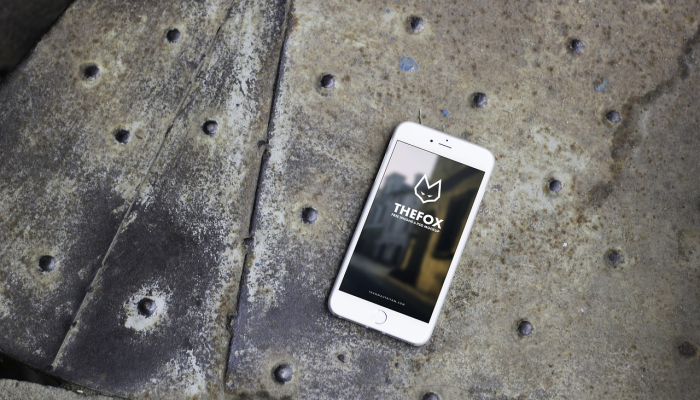 辅助开挂工具“广西八一字牌怎么开挂”开挂(透视)辅助教程