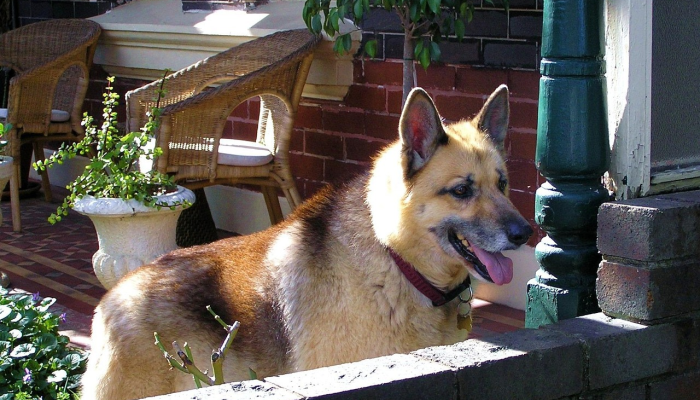 万能开挂辅助“旺旺福建麻将开挂神器”开挂(透视)辅助教程