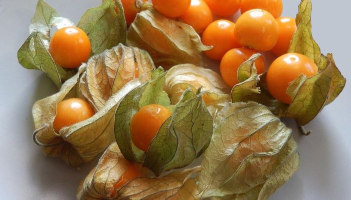 实测教程”约战荆门麻将有挂么”【透视软件教程分享】