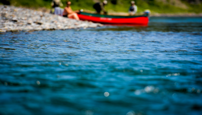 万能开挂辅助“蜜蜂众娱拼三张透视辅助软件”开挂(透视)辅助教程