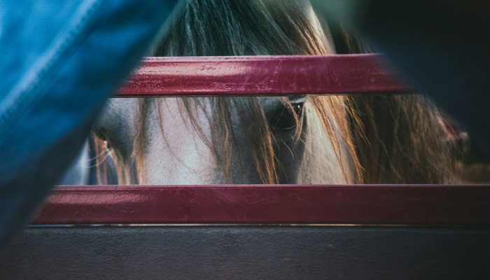 限时分享“同城游麻将真的能开挂”开挂详细教程