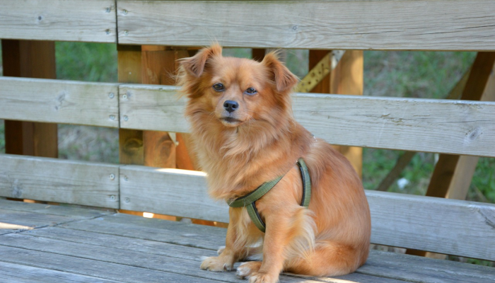 辅助开挂神器“云端怎么辅助”开挂详细教程