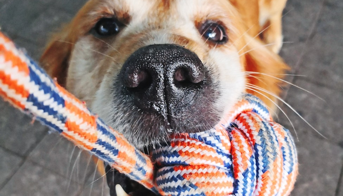 辅助开挂工具“赫麒众游杰克辅助”开挂(透视)辅助教程