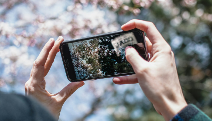 辅助神器“皇豪互娱辅助器下载”(透视)其实确实有挂