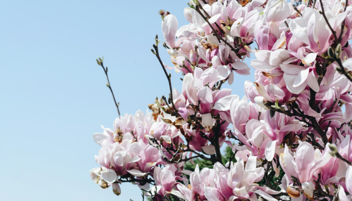 辅助开挂神器“wepoker透视挂作弊辅助方法”分享用挂教程