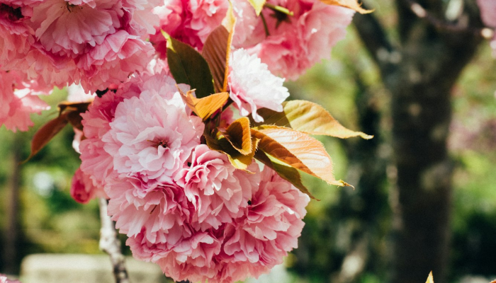 限时分享“游乐江苏有挂吗”开挂详细教程 限时分享“游乐江苏有挂吗”开挂详细教程