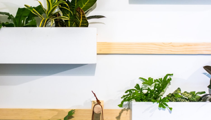 辅助开挂神器“开心武汉花是不是有挂”分享用挂教程