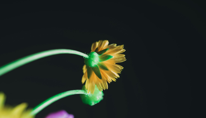 必备科技“花花生活圈挂怎么开”开挂详细教程